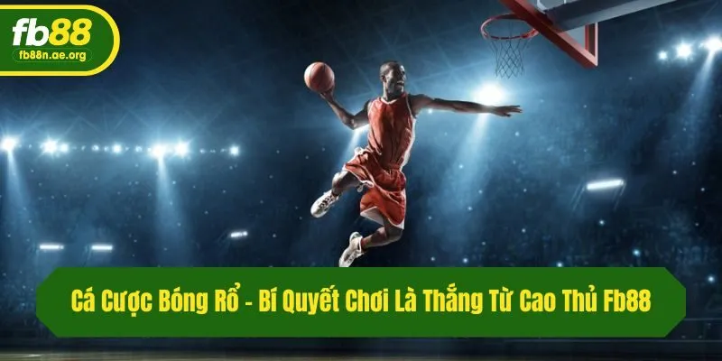Cá Cược Bóng Rổ - Bí Quyết Chơi Là Thắng Từ Cao Thủ Fb88