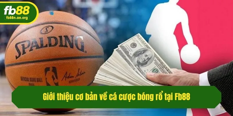 Giới thiệu cơ bản về cá cược bóng rổ tại Fb88