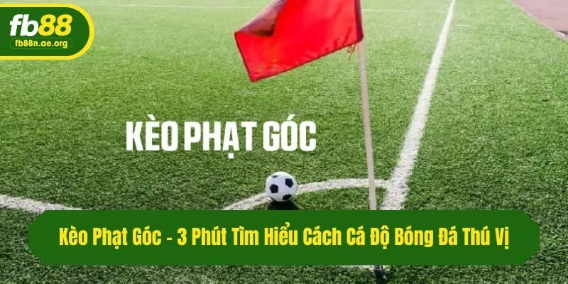 Kèo Phạt Góc - 3 Phút Tìm Hiểu Cách Cá Độ Bóng Đá Thú Vị